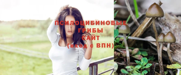 mdpv Абаза