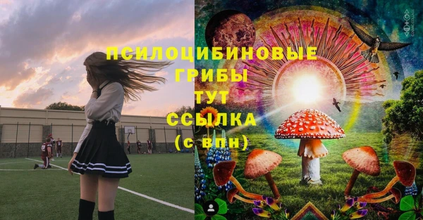 ГАЛЛЮЦИНОГЕННЫЕ ГРИБЫ Абдулино