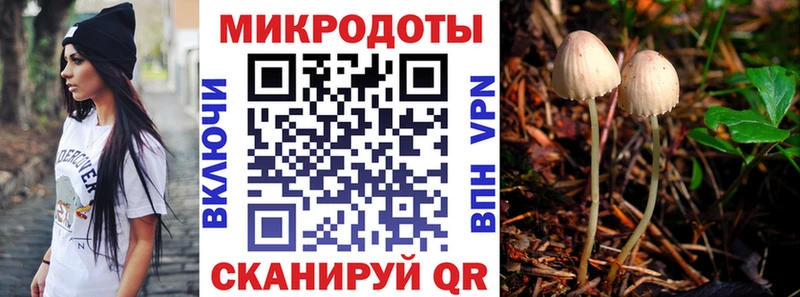 ОМГ ОМГ зеркало  Серафимович  Псилоцибиновые грибы Cubensis 